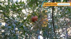 BLUE WATERS CLUB & RESORT 5* Сиде отзывы – отель БЛЮ ВАТЕРС КЛАБ ЭНД РЕЗОРТ 5* Сиде отзывы видео