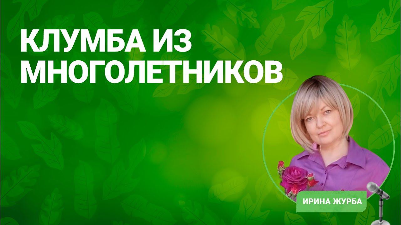 Клумба из многолетников