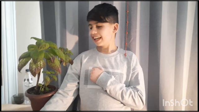 Ботаническая информация о клеусе! 150 видов в мире! ДИСКЛЕЙМЕР ! НЕЛЬЗЯ ЕГО КУШАТЬ ДЕТЯМ! смотреть онлайн