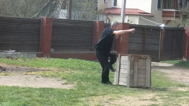 Боевое искусство Орла и змеи смотреть онлайн