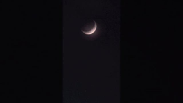 InsanePatient2's Moonfall Compilation