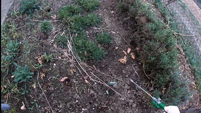 Хороший способ пожелать саду: "Спокойной ночи". смотреть онлайн