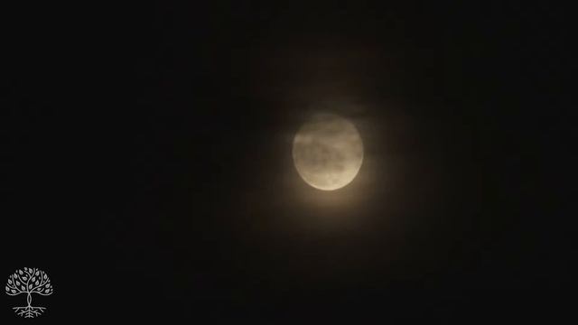 SUEÑO PROFUNDO, Música Para Dormir Rápido Y Profundamente, Música Relajante Para Dormir