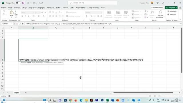 Insertar imágenes desde la WEB con la nueva función IMAGEN de EXCEL смотреть онлайн