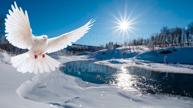 ?ПОЗДРАВЛЕНИЕ С КРЕЩЕНИЕМ ГОСПОДНИМ 2021! Очень Красивое Пожелание! Крещение Господне / 19 января смотреть онлайн