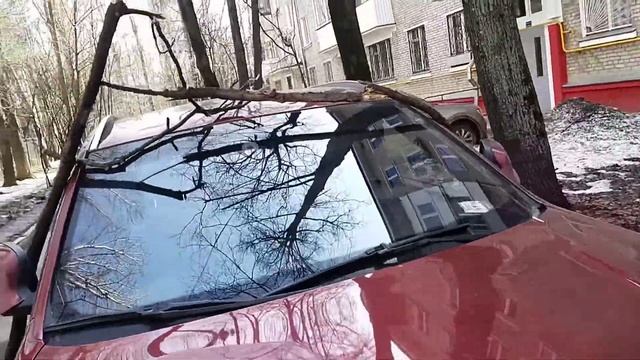 Здоровенная ветка упала на машину. Ветер в Москве. смотреть онлайн