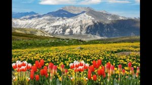 Народный праздник - НАУРЫЗ 2022 год.