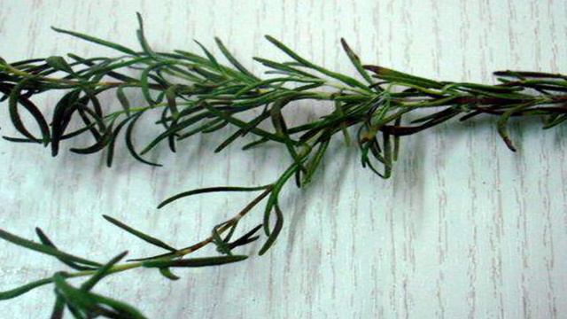 Книга рецептов