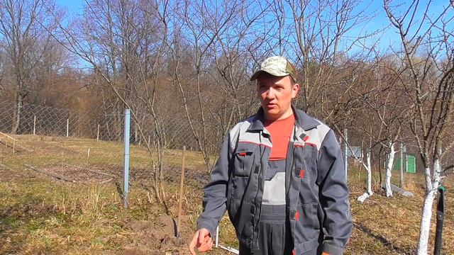 Природное земледелие, Теплые грядки! УРОЖАЙ В ДВА РАЗА БОЛЬШЕ! Технология старорусских от ЖКВ. смотреть онлайн