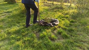 Мульчирование кустарников мраморной крошкой.