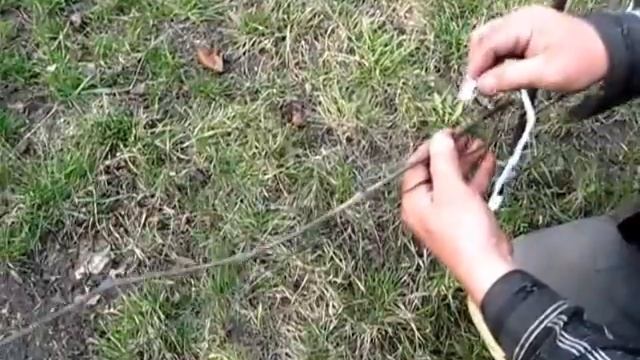 Три вида подвязки виноградной лозы. Чем и как подвязать виноград смотреть онлайн