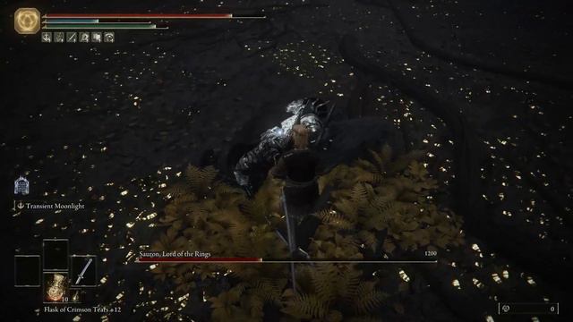 Sauron Boss Fight in Elden Ring - Garden of Eyes Mod Showcase смотреть онлайн