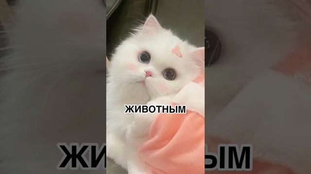 Мой любимый цвет розовый ?? а с чем у вас ещё ассоциации на меня? #roblox#женяша#женяшароблокс смотреть онлайн