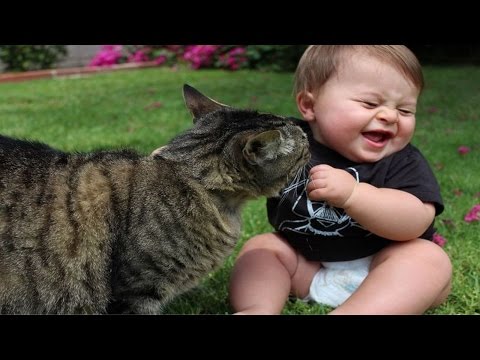 Очень смешные маленькие дети. Приколы про детей смотреть онлайн