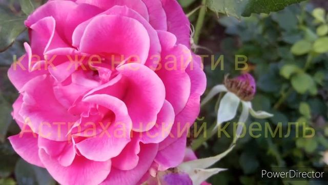 Астрахань(площадь Ленина). смотреть онлайн