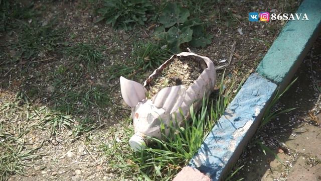 Экскурсия по участку смотреть онлайн