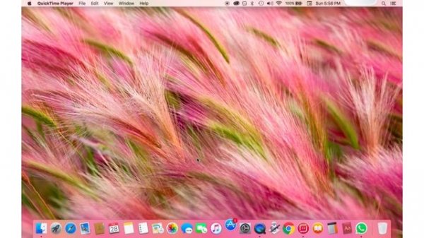 How to fix Mac app store bug ! connecting to the app store