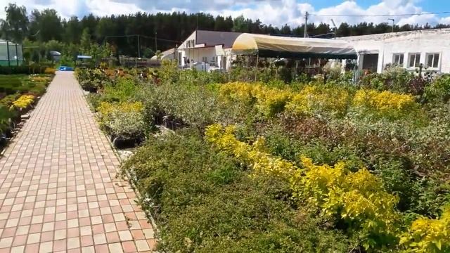 ...Полёт бабочек во "Временах Года"... смотреть онлайн