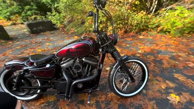 Harley Davidson "Cherry Bomb" - First Ride and Walk Around смотреть онлайн
