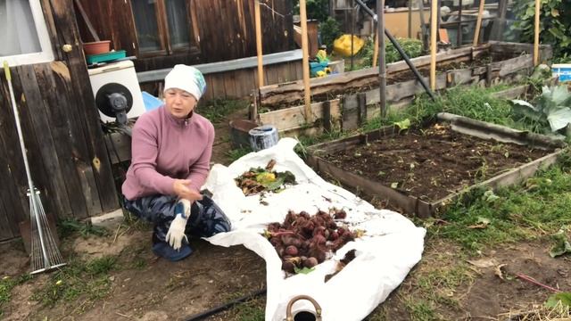 Муж купается,а я....//Уборка урожая.Приближаемся к концу// смотреть онлайн