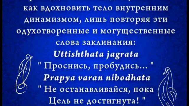 "Значение ученичества сегодня" лекция Шри Чинмоя смотреть онлайн