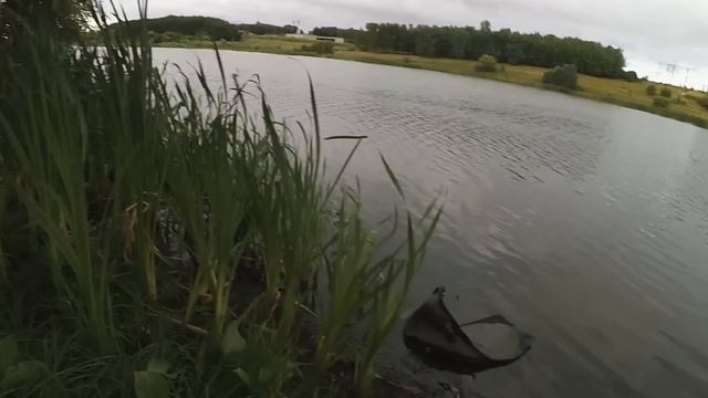 РЫБАЛКА НА ГОРОДСКОМ ПРУДУ (УЧХОЗ КУРСК)! ЛОВЛЯ КАРАСЯ НА ДОНКУ.