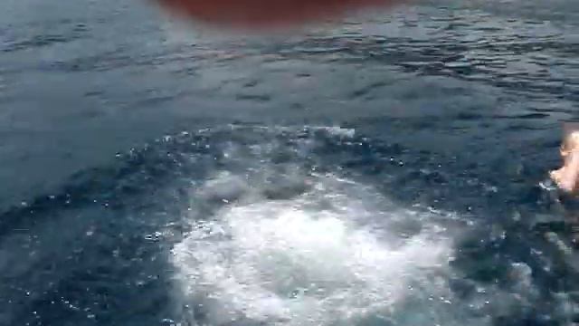 DIBBERN snorkle tur rundt om Koh Tao thailand 09 смотреть онлайн