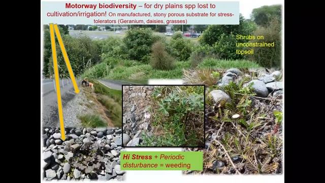 Landscape Architecture Needs Lots of Ecology – in palettes, patterns, place-making & prospects смотреть онлайн