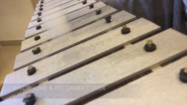 Game Of Thrones Theme | Arnab Chakraborty | Xylophone & Recorder Cover смотреть онлайн