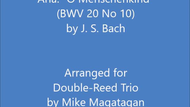 Aria: "O Menschenkind" (BWV 20 No 10) for Double-Reed Trio смотреть онлайн