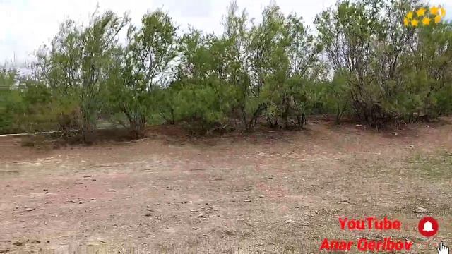 Флора и фауна. Flora And Fauna