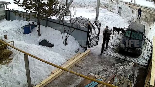 Ударил собаку смотреть онлайн