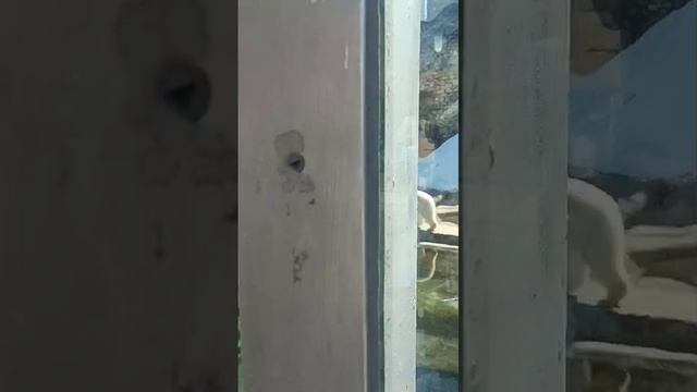 1000068831.mp4 смотреть онлайн