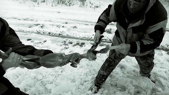 Как разделать зайца за 1 минуту на охоте. Миллионы людей не знают о таком способе смотреть онлайн