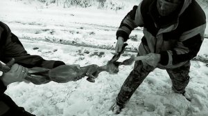 Как разделать зайца за 1 минуту на охоте. Миллионы людей не знают о таком способе
