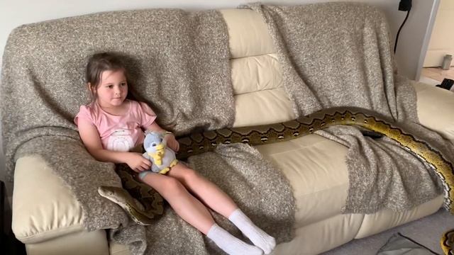 15ft Reticulated Python saying hello to 6 year old смотреть онлайн