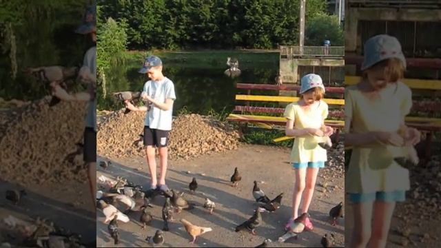 КАКОЙ ФОРМАТ ВИДЕО ВАМ УДОБЕН? ПОДБОРКА ЧЕТВЕРОЛАПЫХ И ПЕРНАТЫХ. смотреть онлайн