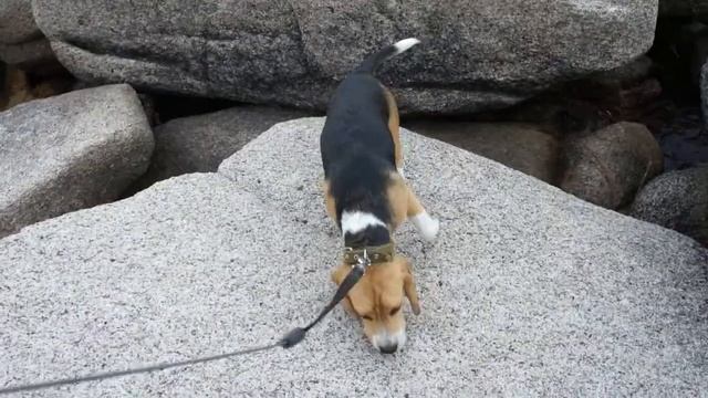 Ероха покоряет каменные джунгли (б. Ершевая) - 3 смотреть онлайн