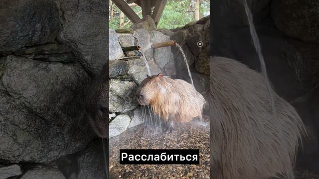 У вас так же? #travel #туризм #путешественники #путешествияпомиру #tranding смотреть онлайн