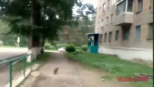 Про мою поездку в посёлок Восток смотреть онлайн