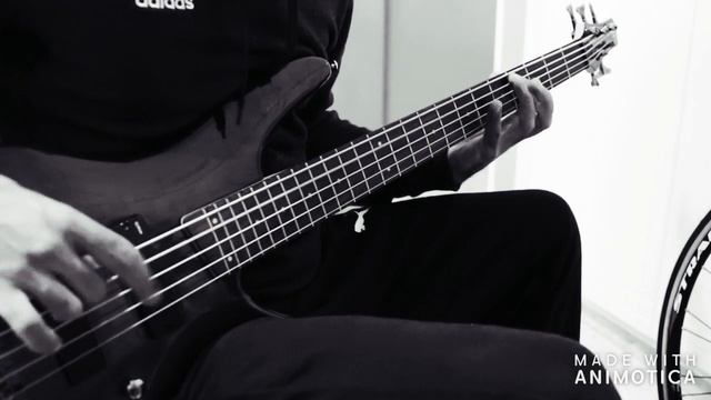 Amon Amarth - An Ancient Sign Of Coming Storm [Bass Cover] смотреть онлайн