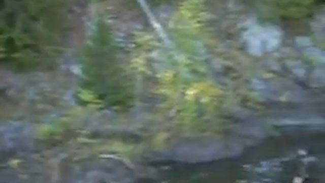 На водопаде Кивач смотреть онлайн