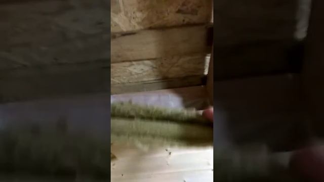 Как сэкономить на утеплении каркасного дома.