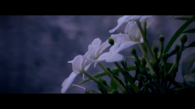 SONY DCR-SX20E (HANDY CAM) 720P CINEMATIC смотреть онлайн