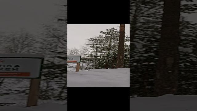 Bd001b8dca4f9681e544ebf51e5da2b3