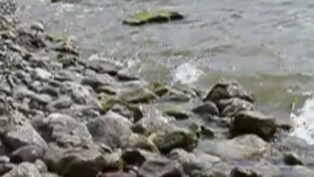 Panasonic Lumix FZ100 #3 waves on rocks slow motion 220 FPS смотреть онлайн