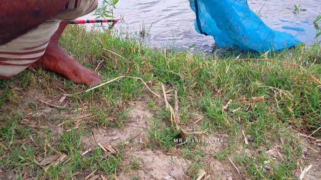 Hook Fishing - Traditional Hook Fishing - MR Fishing Life (Part-62) смотреть онлайн