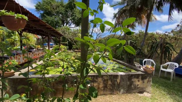 SIMPLE WAYS to Move to BARBADOS🇧🇧|DREAM EXPAT LIFE - DREAM RETIREMENT смотреть онлайн