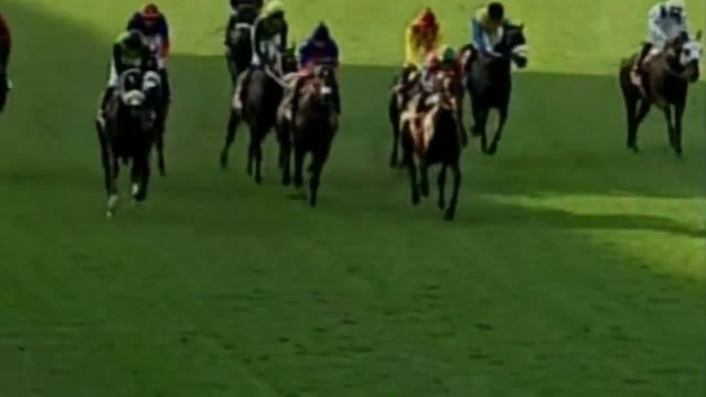 RISING SUN GOLD CHALLENGE (Grade 1) 2013 смотреть онлайн