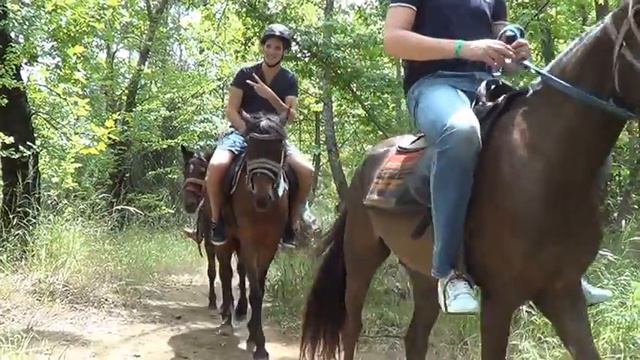 Прогулка на лошадях смотреть онлайн